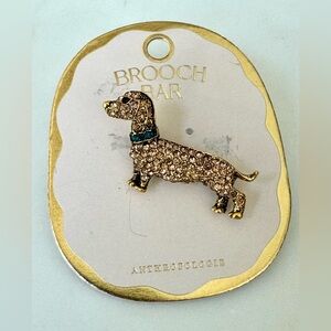 Dachshund Brooch NWT Anthropologie Champagne Rhinestones GreenCollar Gold Plated